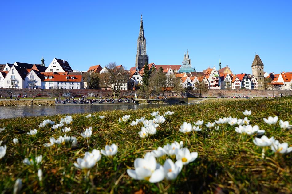 city wall View
