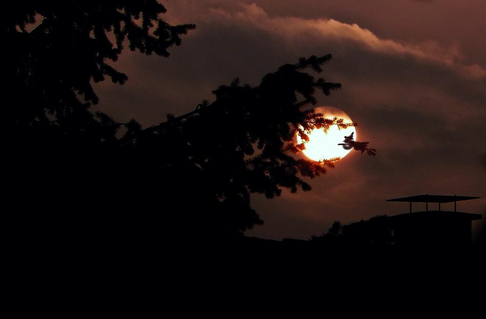 mystical photo of a flying witch against the background of a full moon