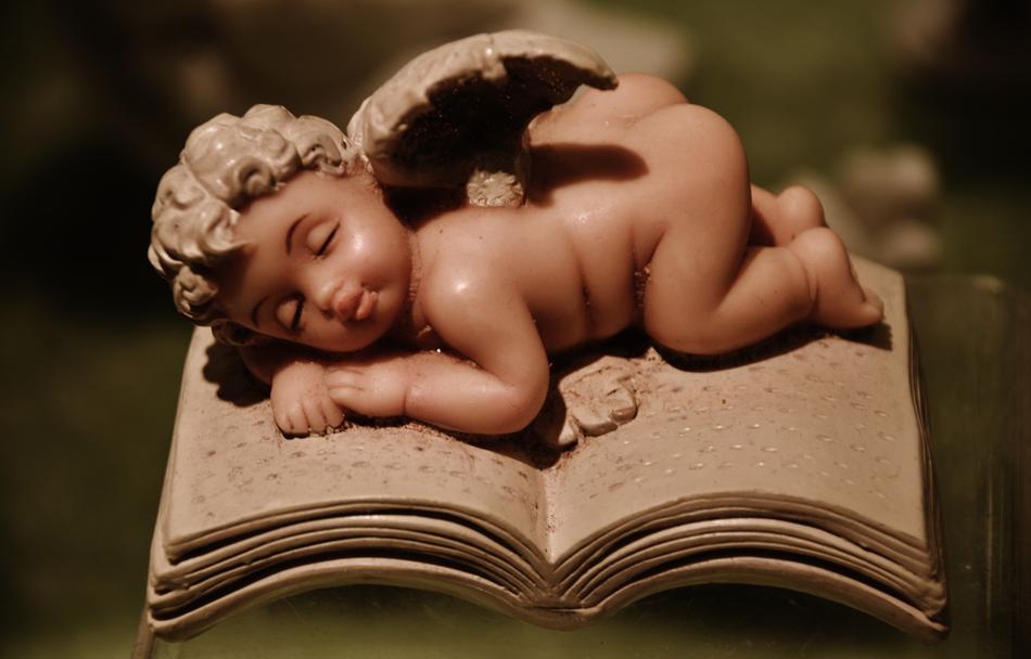 Angel Wing books