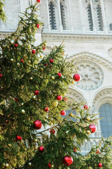 Christmas tree in Paris, France