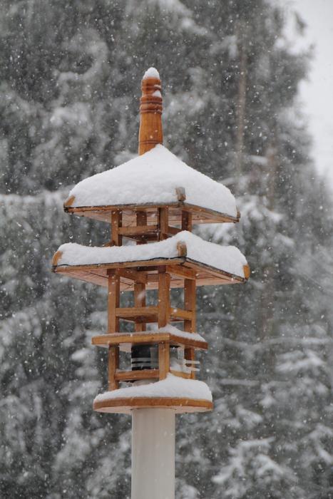 Beautiful, Japanese bird feeder in snow, near the temple in winter