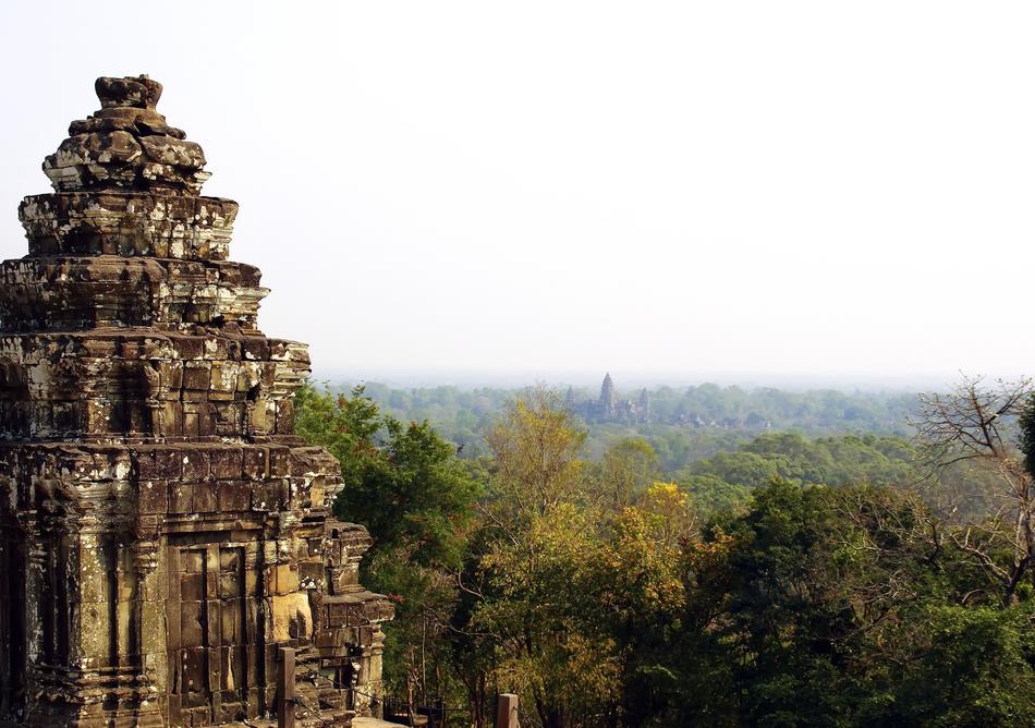Angkor Temple forest
