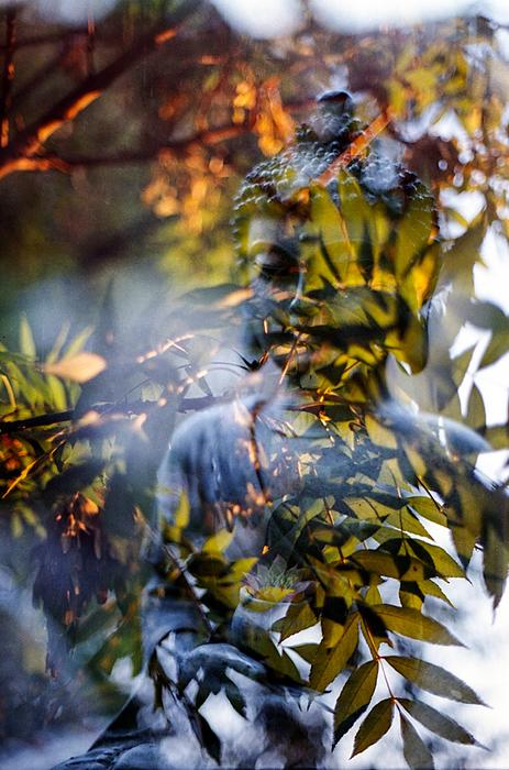 foliage background on buddha statue