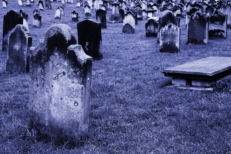 Cemetery Culture dark