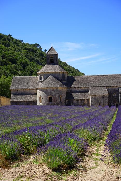monastery and violet flowers