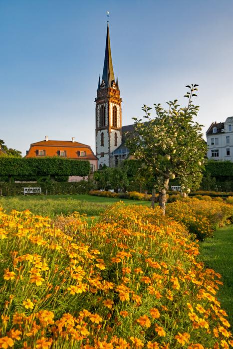 Prince Georgs-Garden yellow flowers