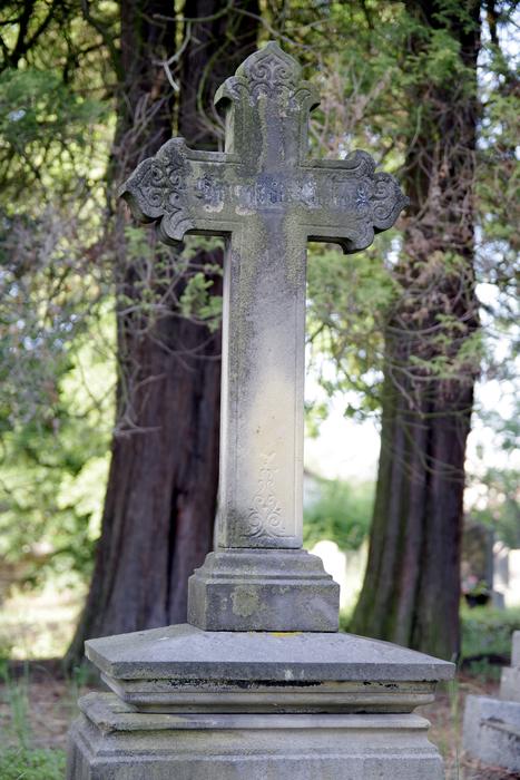 Old tombstone, among the green trees, in sunlight