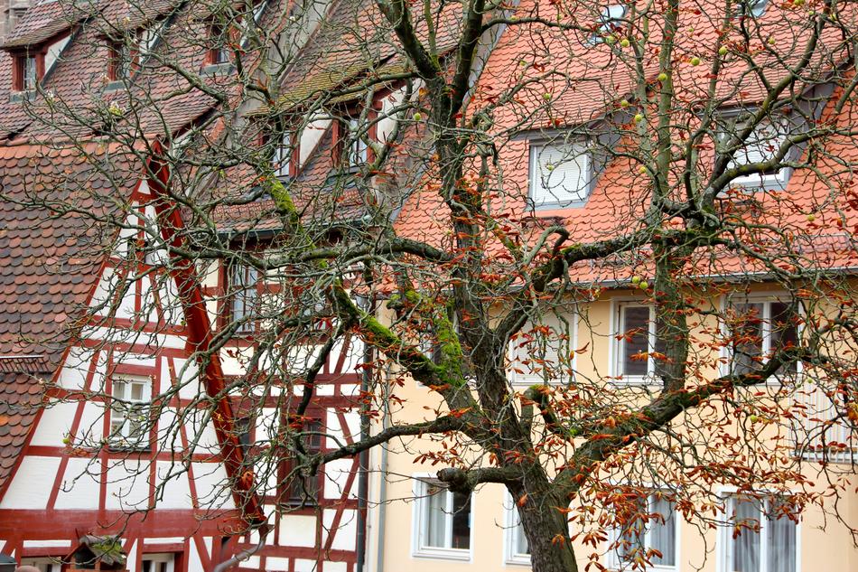 Roof Germany house and tree