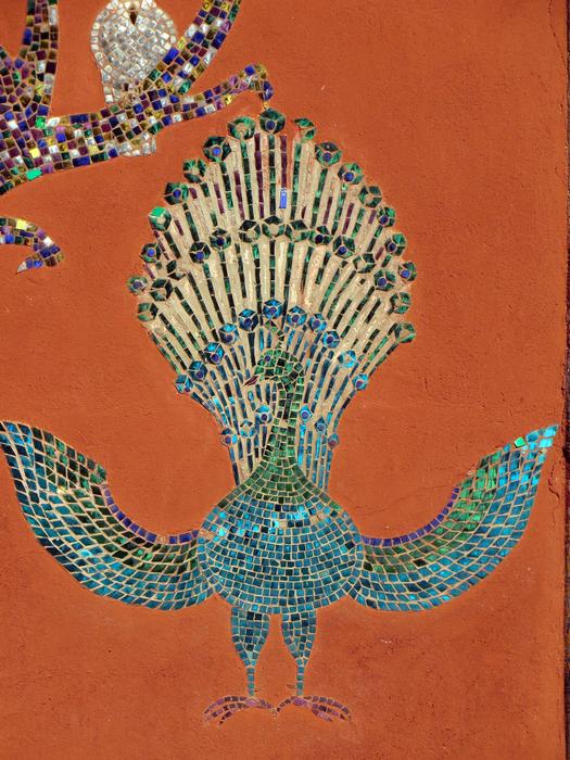 peacock illustration in Luang Prabang