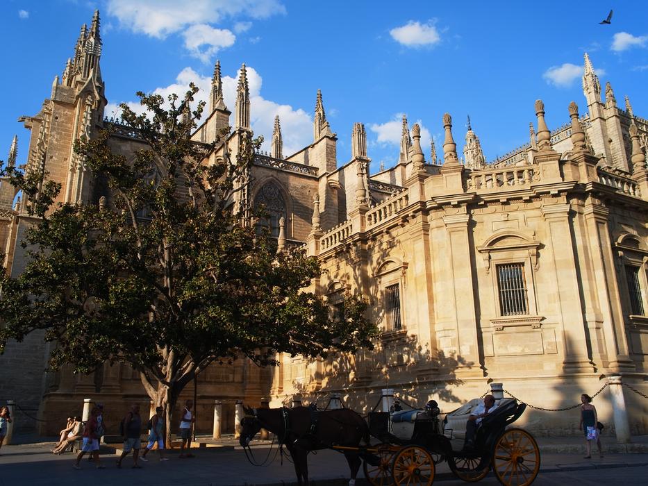 Beautiful church, near the tree, in Seville, Spain, in light