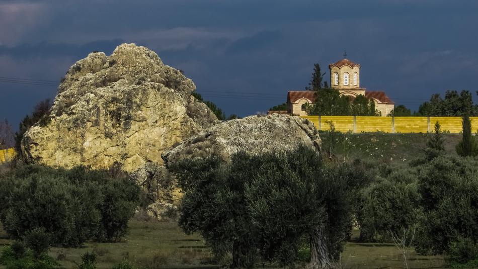 Rock Olive Trees