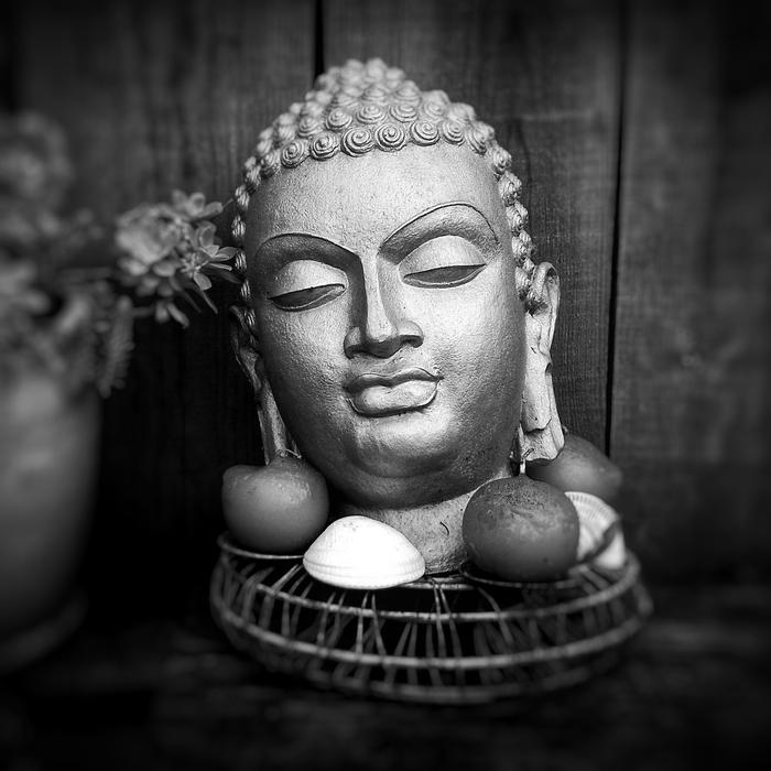 buddha head as a statue, black and white