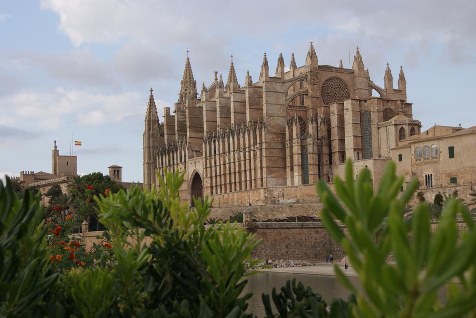view of the cathedral in mallorca