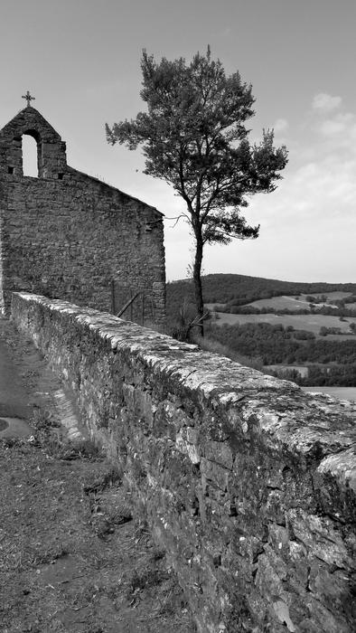 tree near the stone church in monochrome