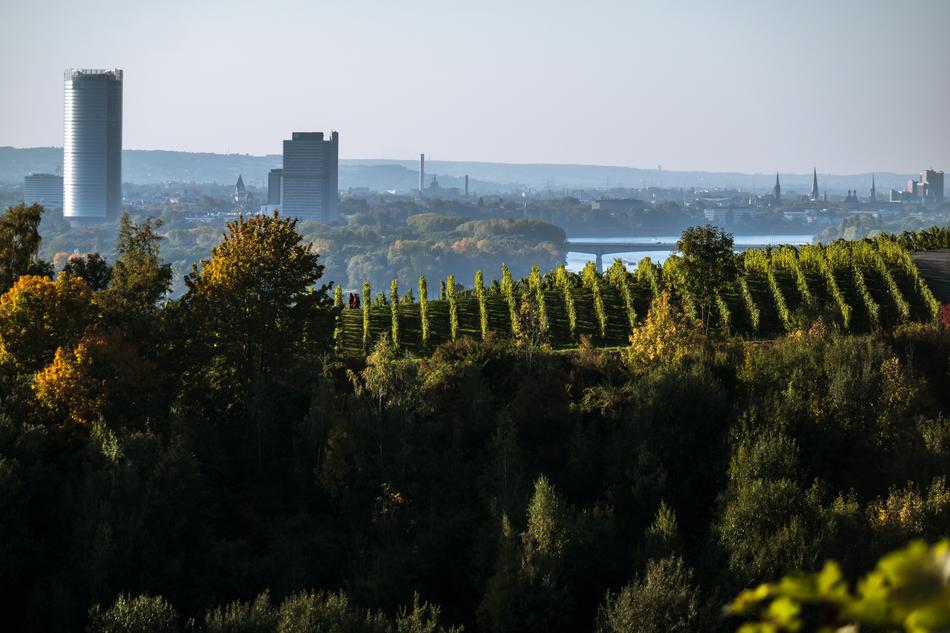 Bonn Skyline and Skyscrapers