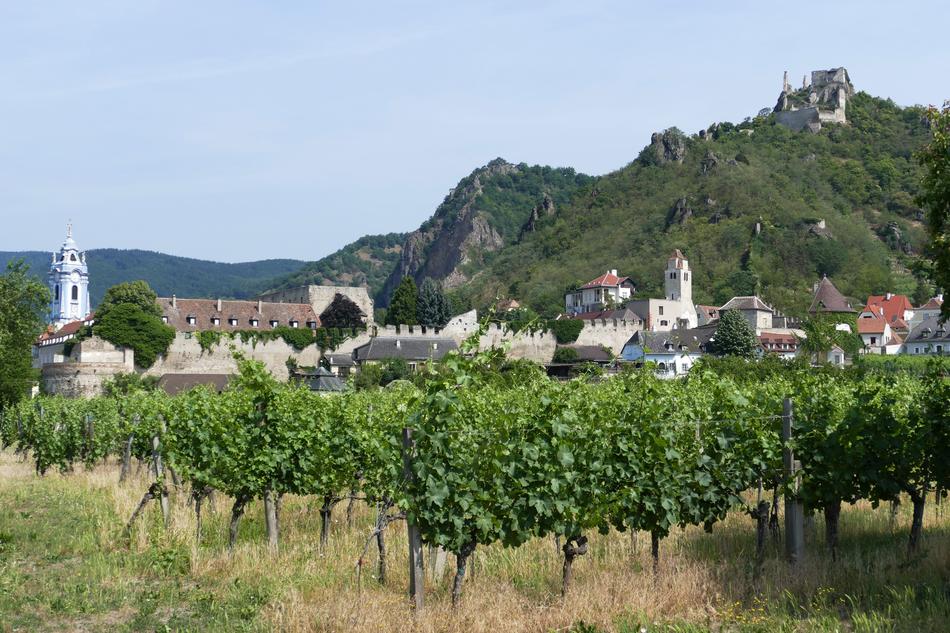 Beautiful and colorful landscape with plants and buildings in DÃ¼rnstein, Austria