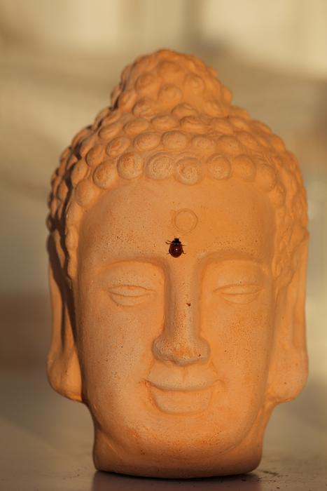 Beautiful, smiling Buddha statue with the cute ladybug, at sunset