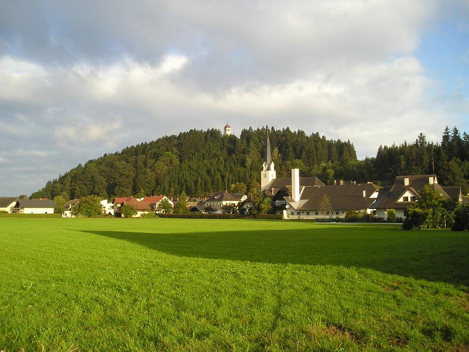 Beautiful landscape of the village on the green field, near the trees