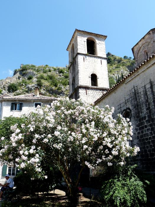 Historic Kotor Montenegro Balkan