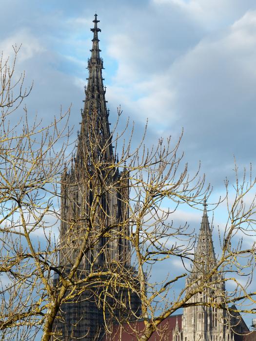 view of the Ulm Cathedral behind the trees