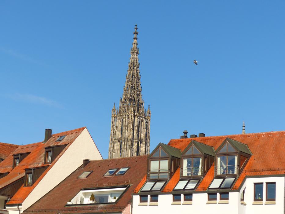 Ulm Cathedral and houses in City