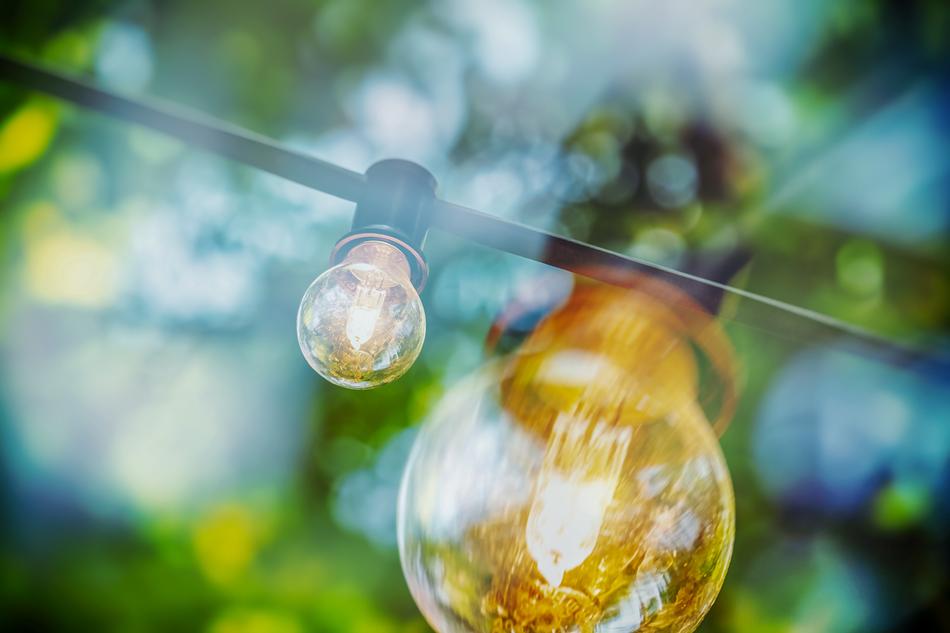 Close-up of the light bulb, with the colorful light, with the double exposure, near the plants
