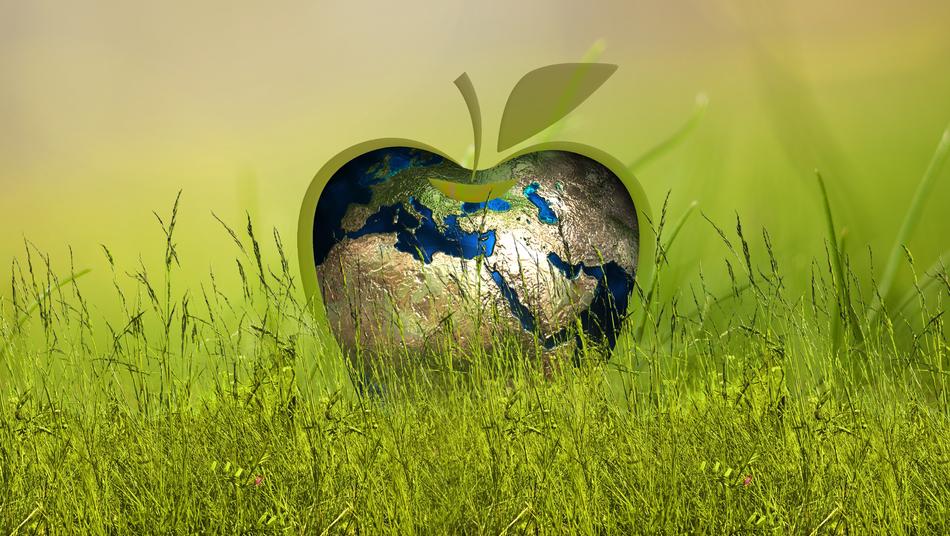 globe in shape of a globe