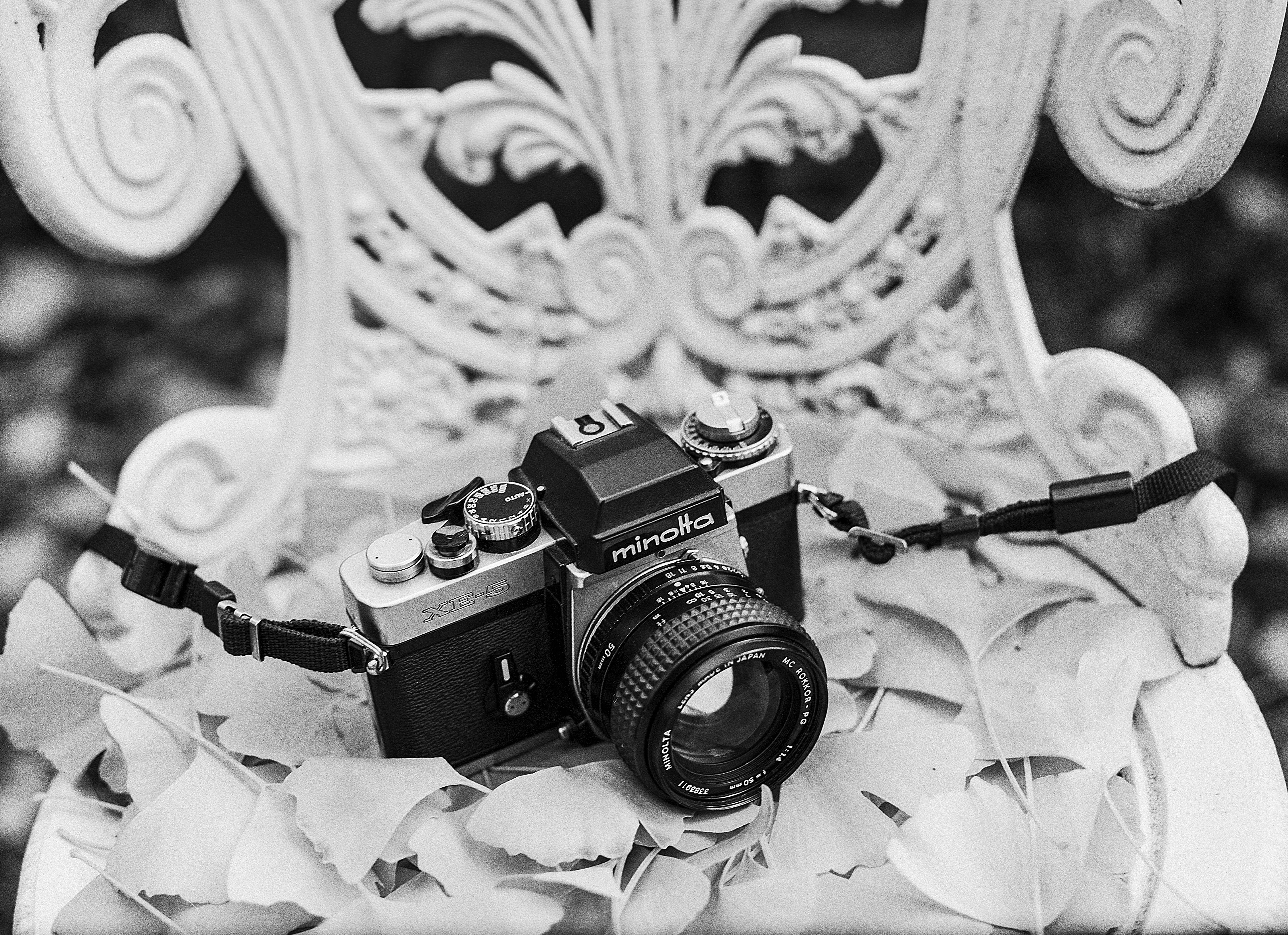 Черно белый пленочный фотоаппарат