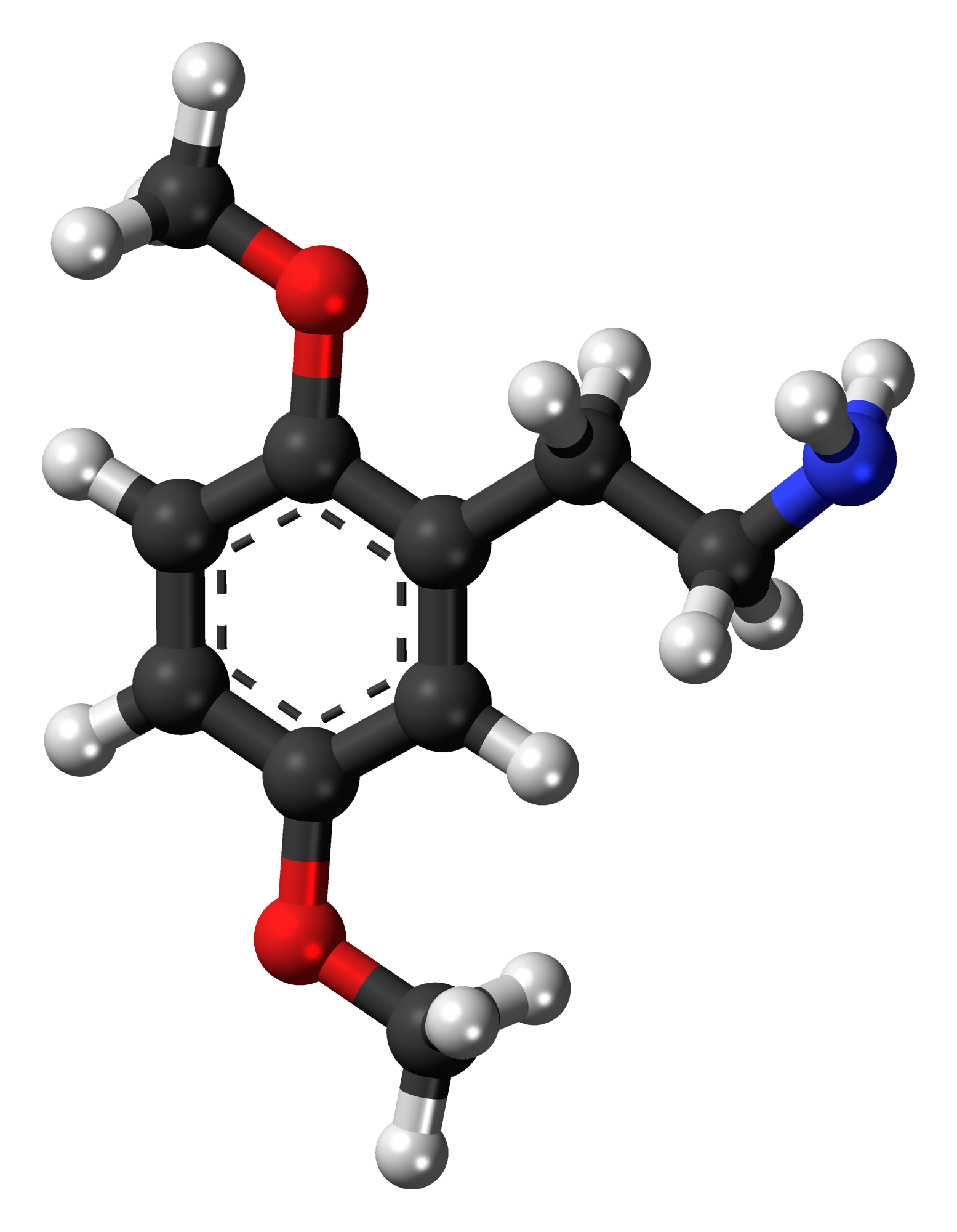 Complex model of dimethoxyphenethylamine molecule free image download