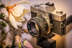 Close-up of the beautiful, retro "Minolta" camera, near the colorful and beautiful, blooming flowers