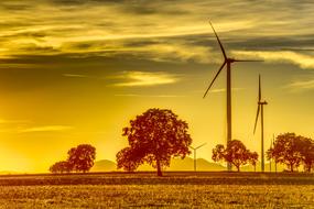 Pinwheels in countryside at Sunset