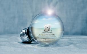 Light Bulb Polar Bear drawing