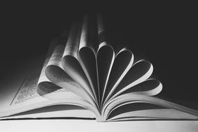 black and white photo of twisted book pages