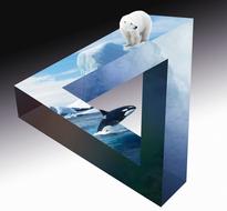 polar bear, orca and iceberg on triangle puzzle
