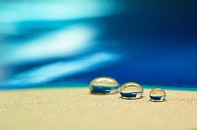 water drops in macro