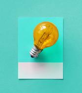 Bulb Card Colorful drawing