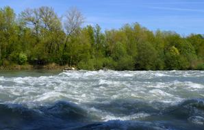 Beautiful river with white waves, near the colorful trees in Switzerland