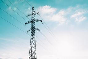 Distribution Electrical