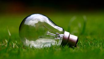 light bulb on the grass