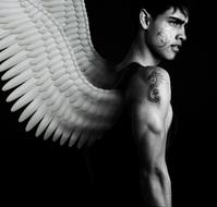 black and white, muscular guy with wings