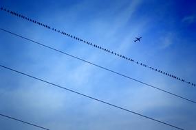 airplane on electric wires