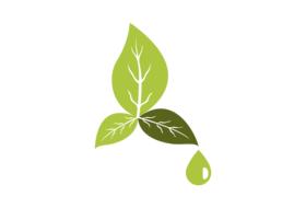 environment friendly, green leaves and drop, icon