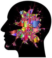 drawn head and rainbow brain
