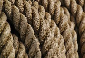 Ropes Knot