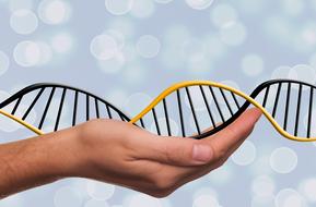 deoxyribonucleic acid spiral