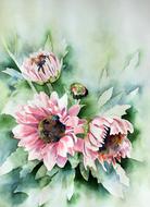 watercolour painting of flowers