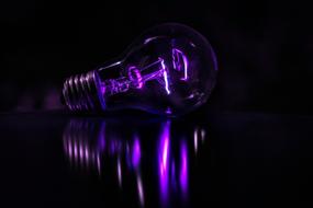 purple lamp on a glass table