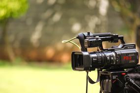 Black and red "Sony" camera. at colorful, blurred background with the plants