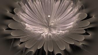 fractal flower design