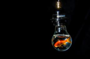 Bulb Electricity